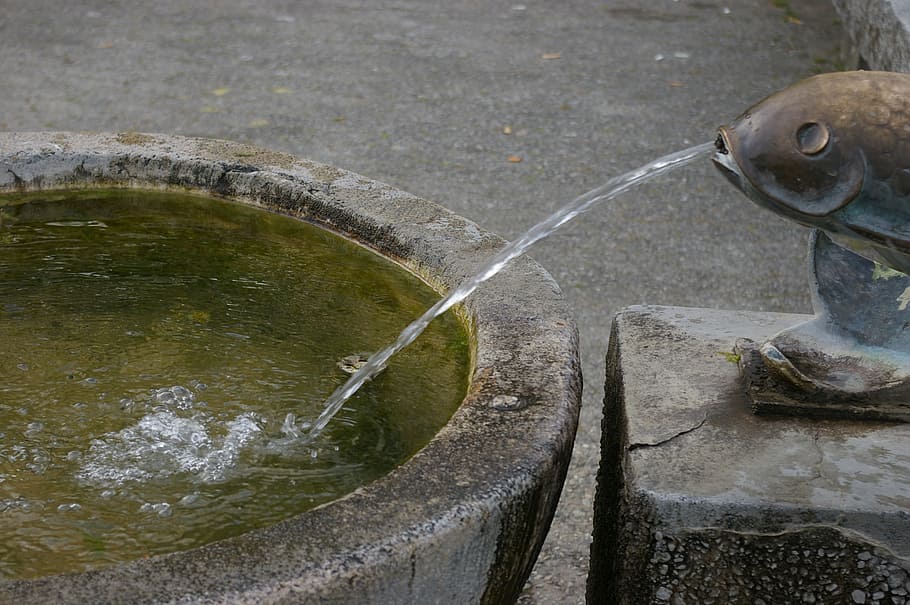 fountain, water, splash, fish, day, nature, no people, metal HD wallpaper