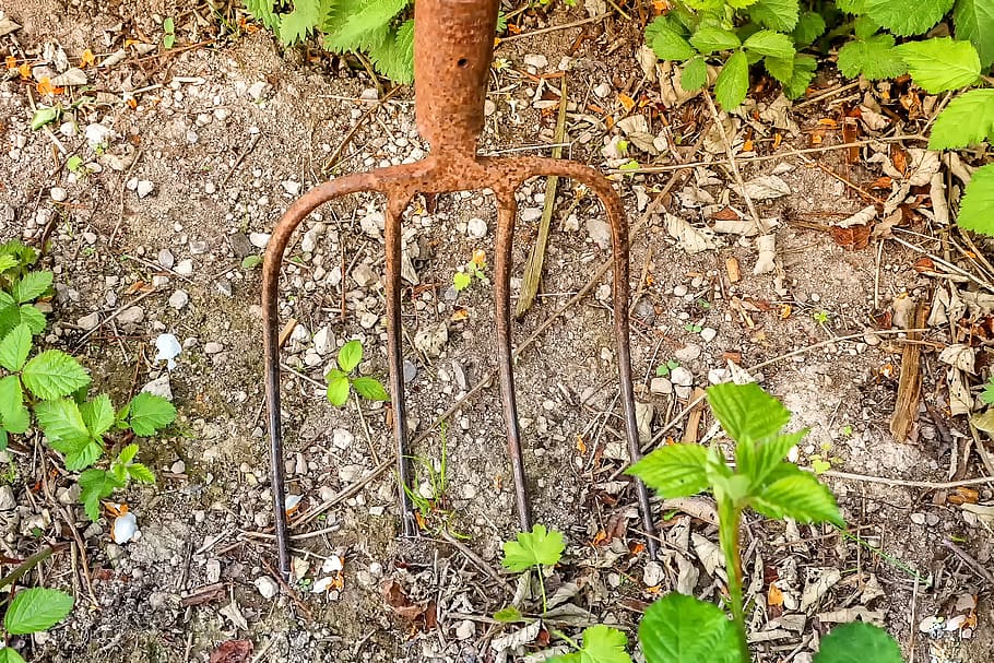 pitchfork, tine, metal, nature, garden, gardening, rusty, digging around, HD wallpaper