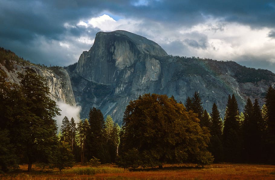 Half Dome, trees near gray rocky mounted under gray clouds, mountain HD wallpaper