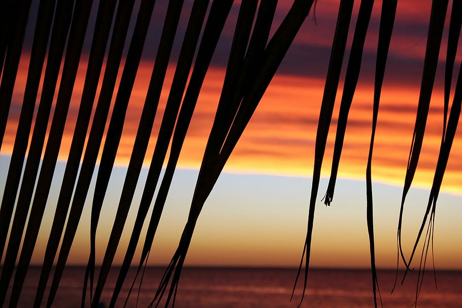 sunset, horizon, sky, dom, vacation, nature, ocean, beach sunset HD wallpaper