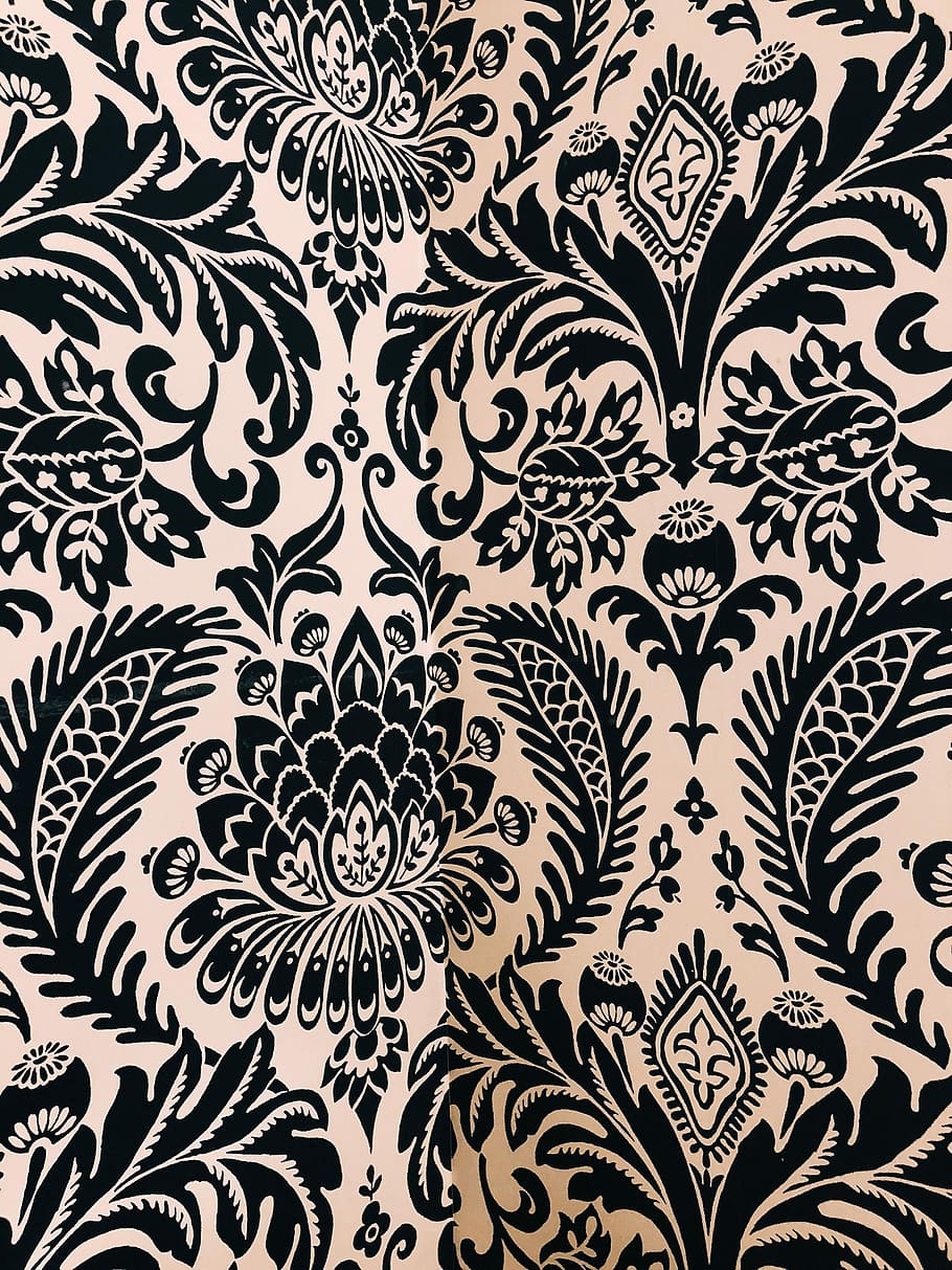 white and black damask textile, white and black floral illustration HD wallpaper