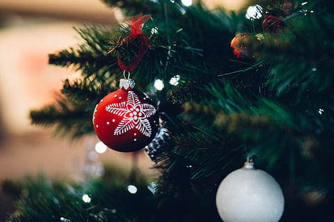 focus photography of red Christmas bauble hanging on Christmas tree HD wallpaper