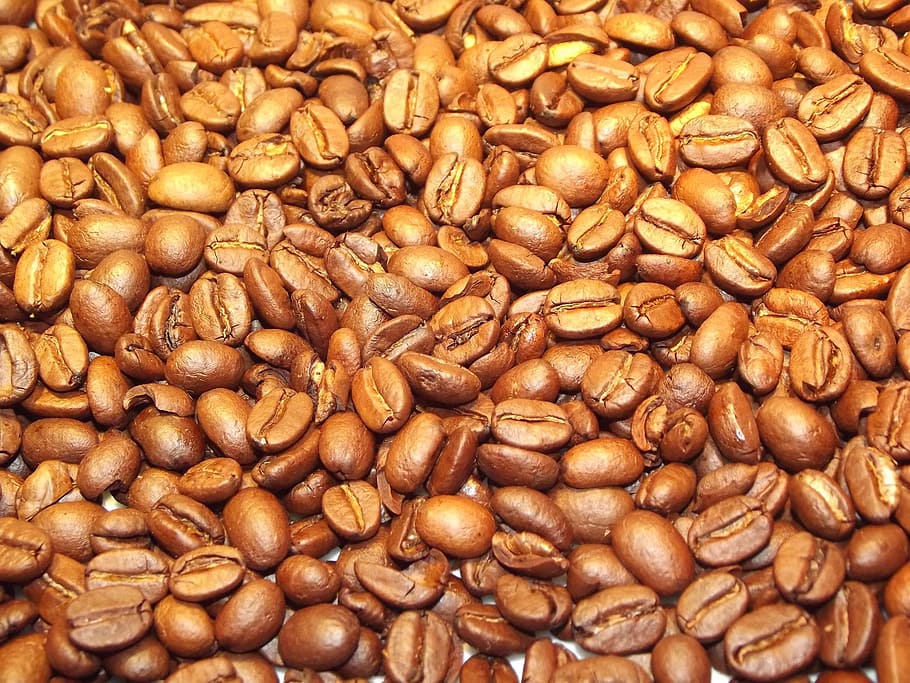 brown coffee bean lot, beans, coffee beans, golden, java, caffeine HD wallpaper