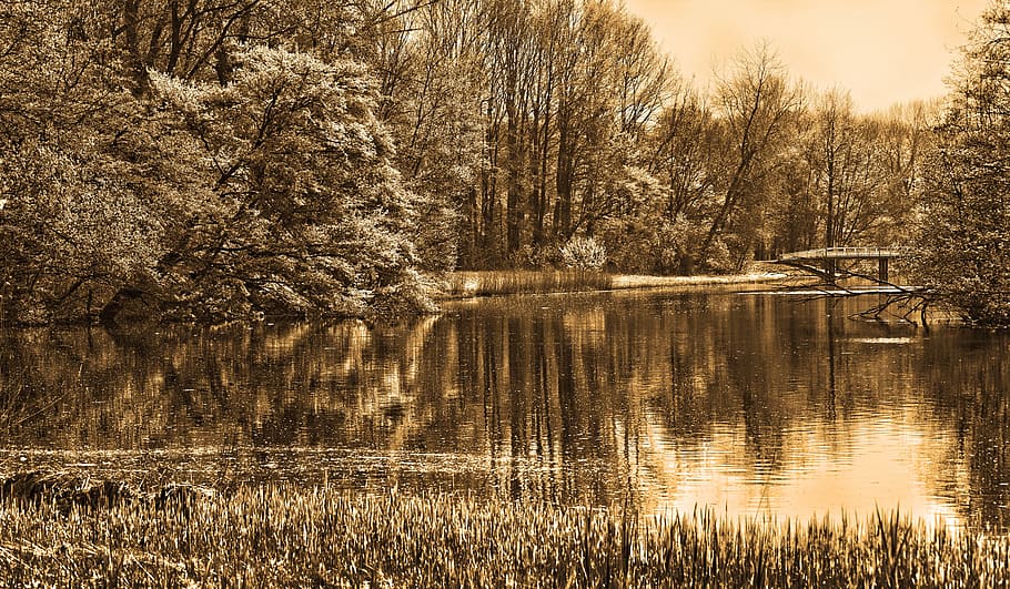 body of water beside trees, pond, bridge, reflections, landscape HD wallpaper
