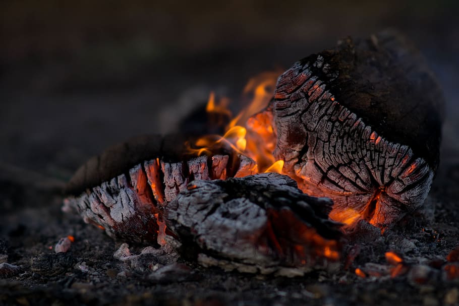 selective focus photography charcoal with flames, camp, fire, HD wallpaper