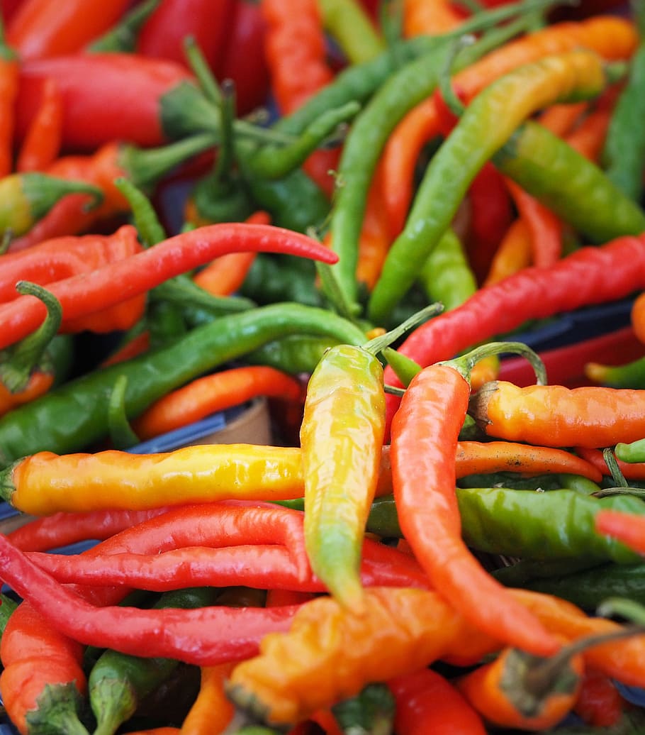 bunch of chili peppers, hot, spicy, red, food, spice, ingredient HD wallpaper