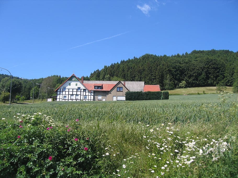 Germany, Landscape, Hills, Forest, Trees, woods, house, home HD wallpaper