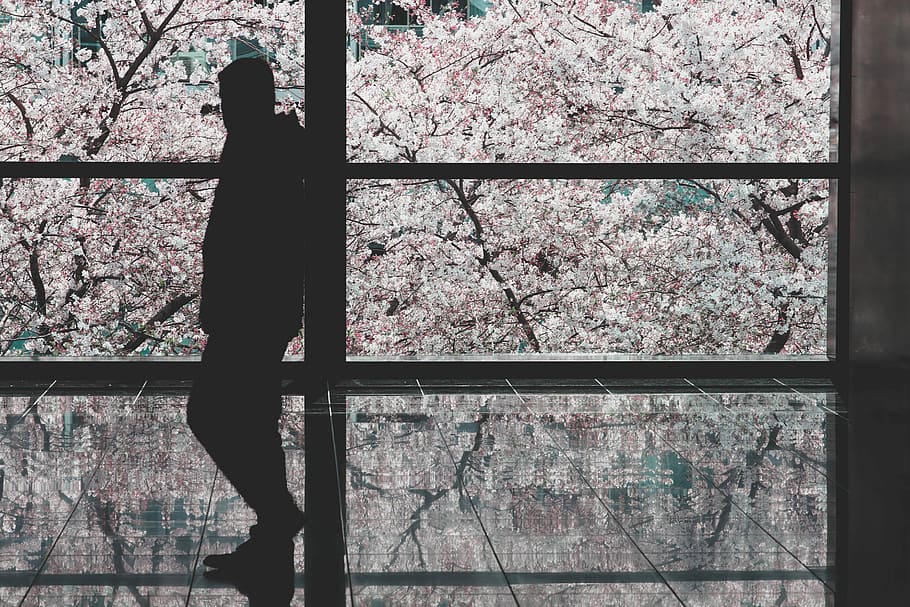 silhouette of a man leaning on wall at daytime, person near glass window HD wallpaper