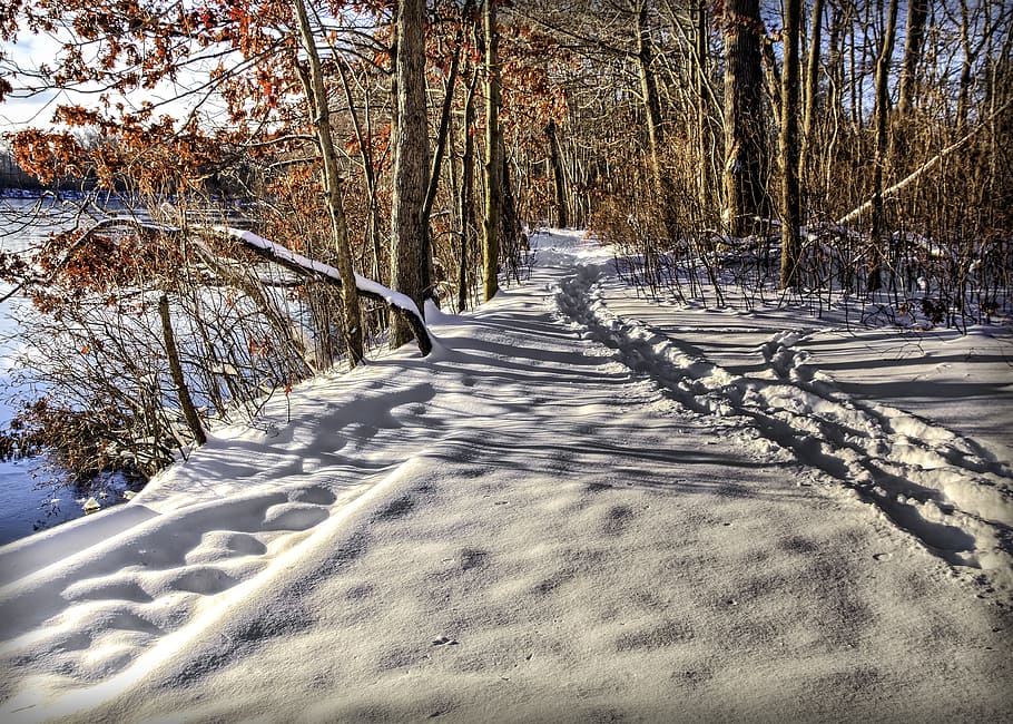 snow covered pathway, track, winter, gazebo, cold, nature, frost HD wallpaper