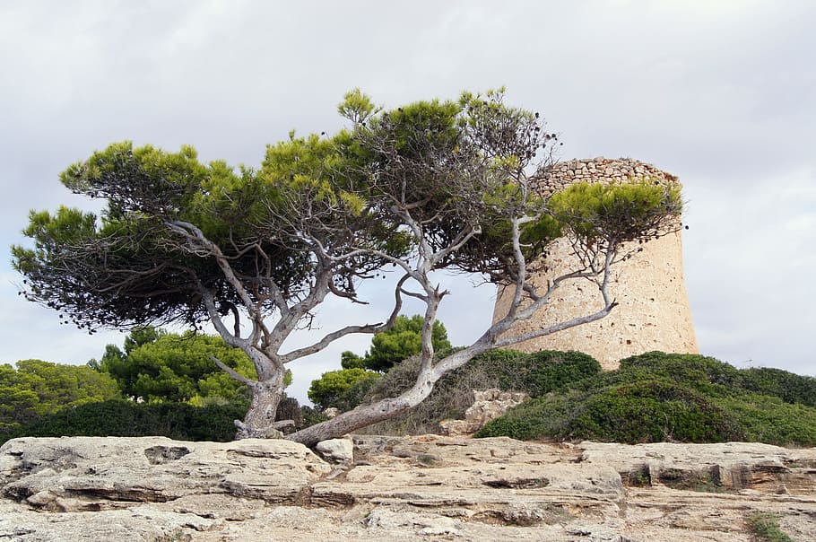 mallorca, pirates, landscape, tower, tree, plant, rock, solid HD wallpaper