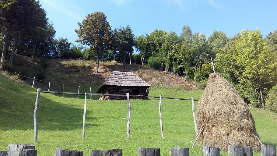 old home, house, haystack, grass, green, trees, vintage, wood HD wallpaper