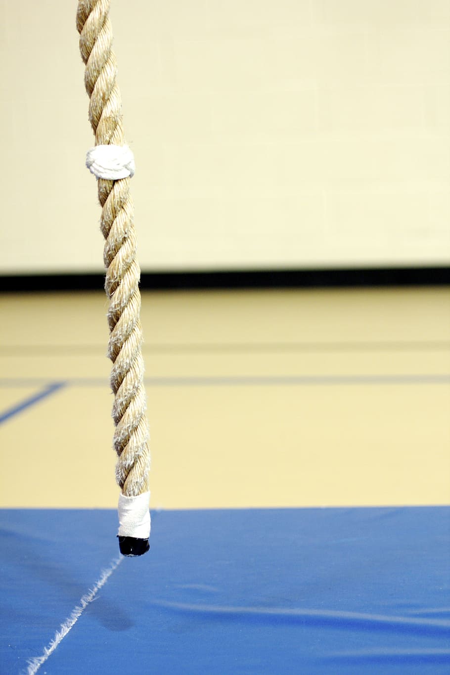 climbing, rope, gym, training, focus on foreground, strength HD wallpaper