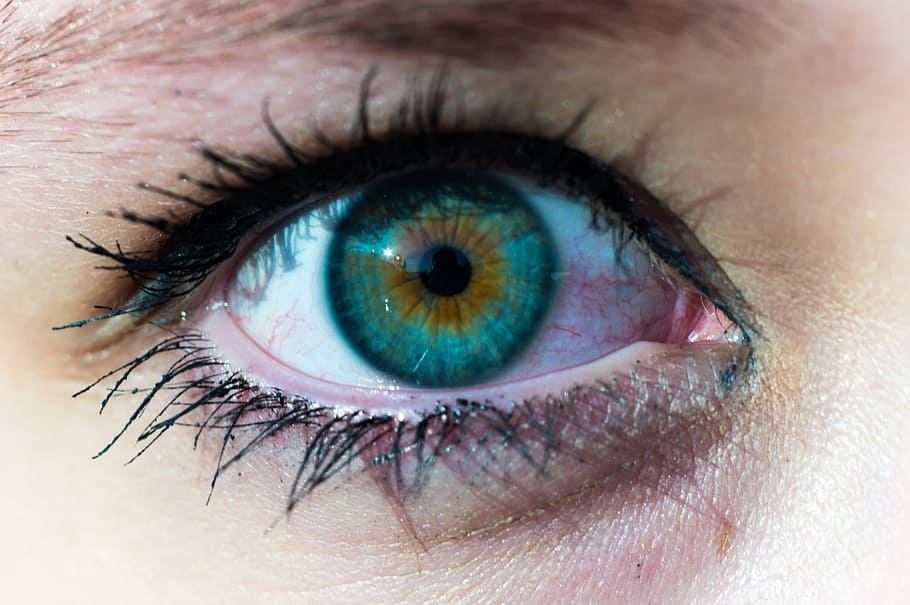 close up photo of left human eye, human right, color, iris HD wallpaper