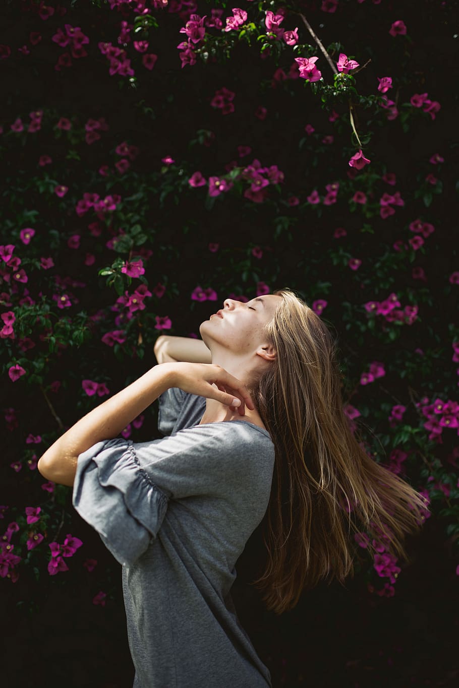 woman in gray top near pink flowers, woman closing eyes with head up high standing near pink petaled flowers HD wallpaper