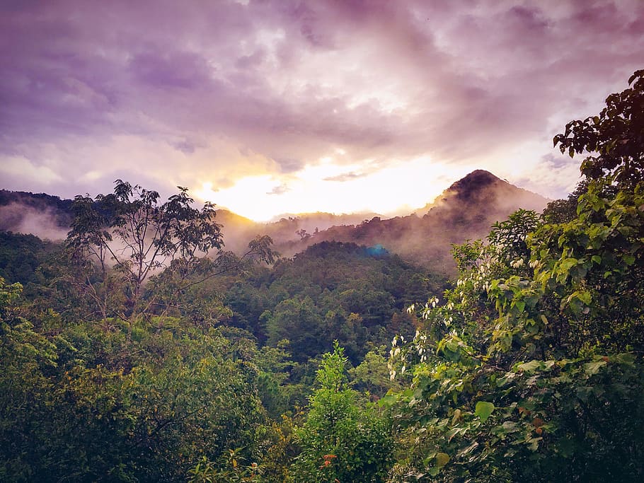light, dawn, landscape, nature, clouds, daylight, dusk, environment HD wallpaper