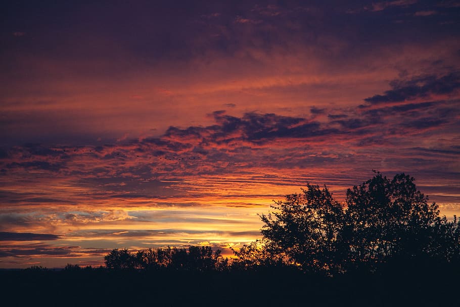 sunset, sky, red, clouds, landscape, evening, dusk, sunset sky HD wallpaper