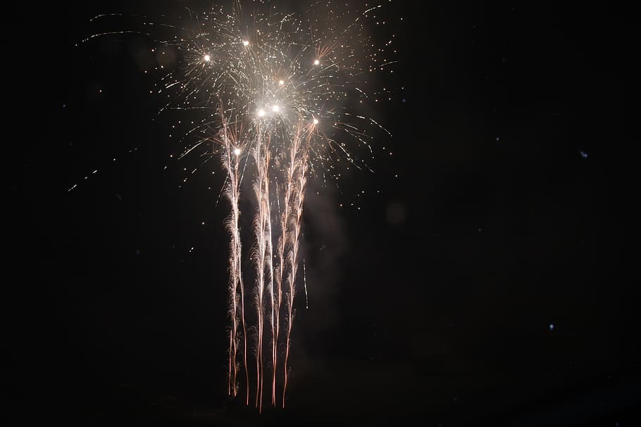fireworks, night, burst, pyrotechnics, firework display, motion HD wallpaper