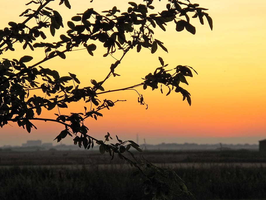 landscape, sunset, archsum, sylt, evening, landscapes, nature HD wallpaper