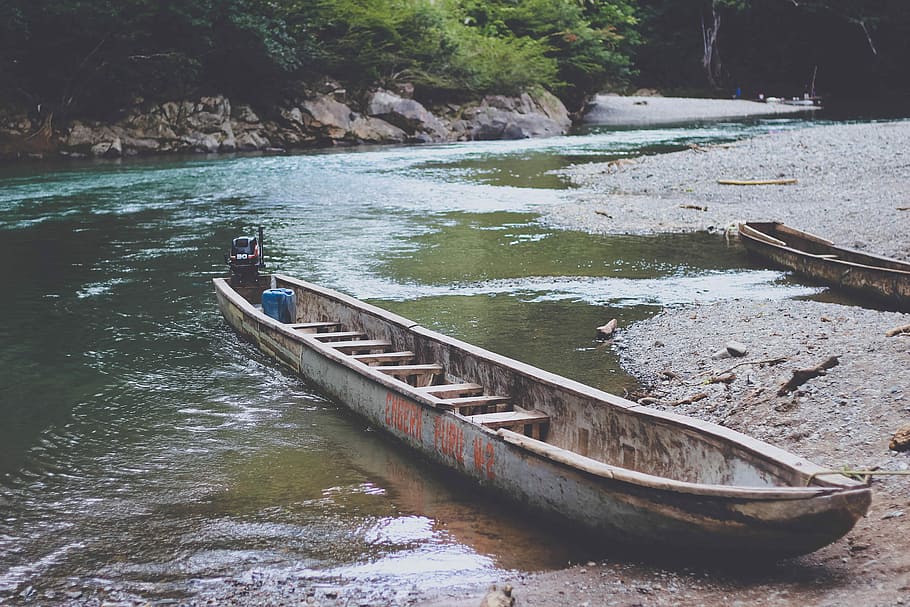 gray boat on the shore, gray boat beside river near trees during daytime HD wallpaper