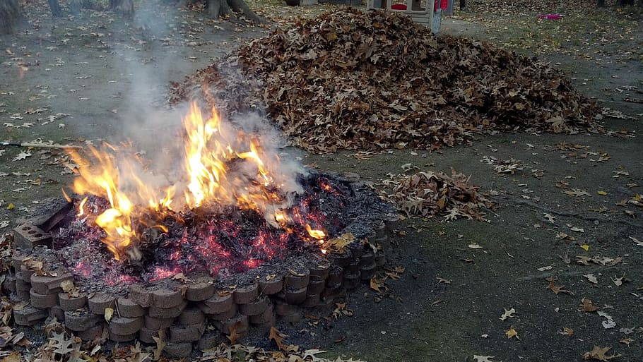 Fire Pit, Burning Leaves, backyard fire pit, camp fire, glow, HD wallpaper