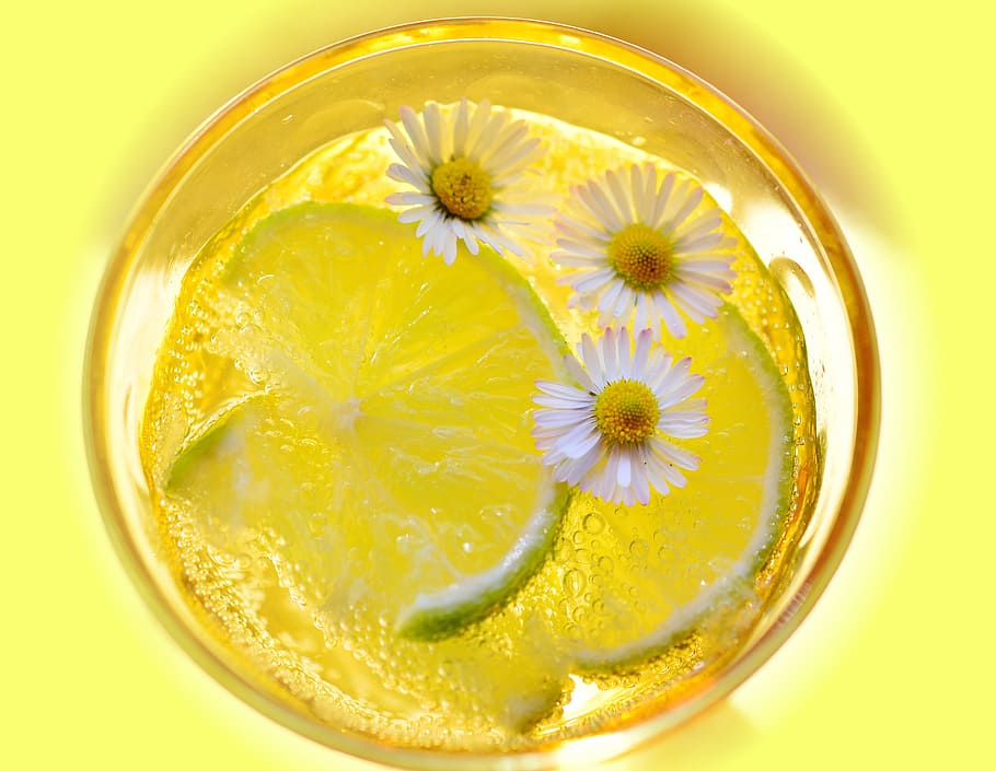 lemon drink on clear drinking glass with three white petaled flower closeup photography