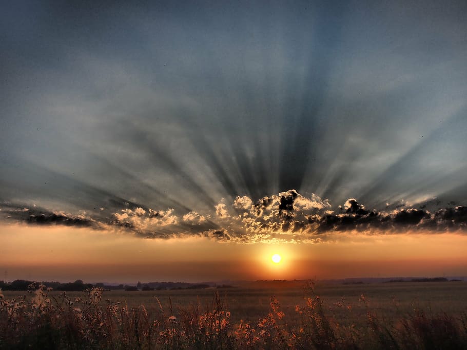 sunset above field of flowers panoramic photography, evening HD wallpaper