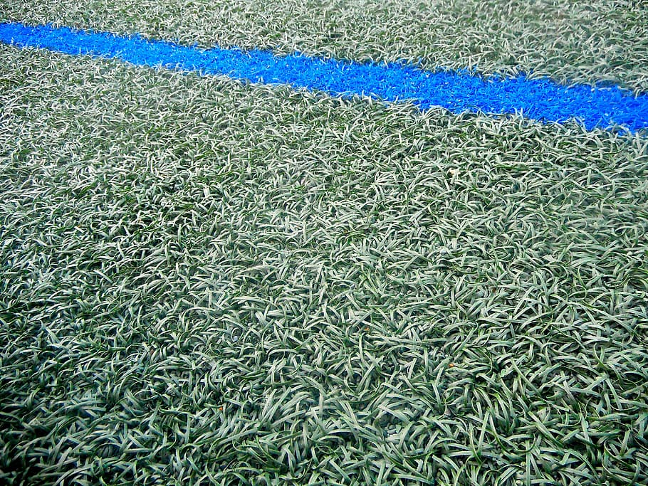 structure, lawn, blue-line, green, green color, full frame HD wallpaper