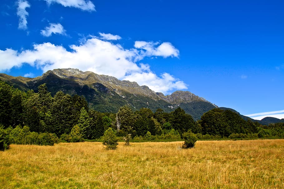 Mountains, Grass, Nature, Sky, Blue, clouds, trees, landscape HD wallpaper