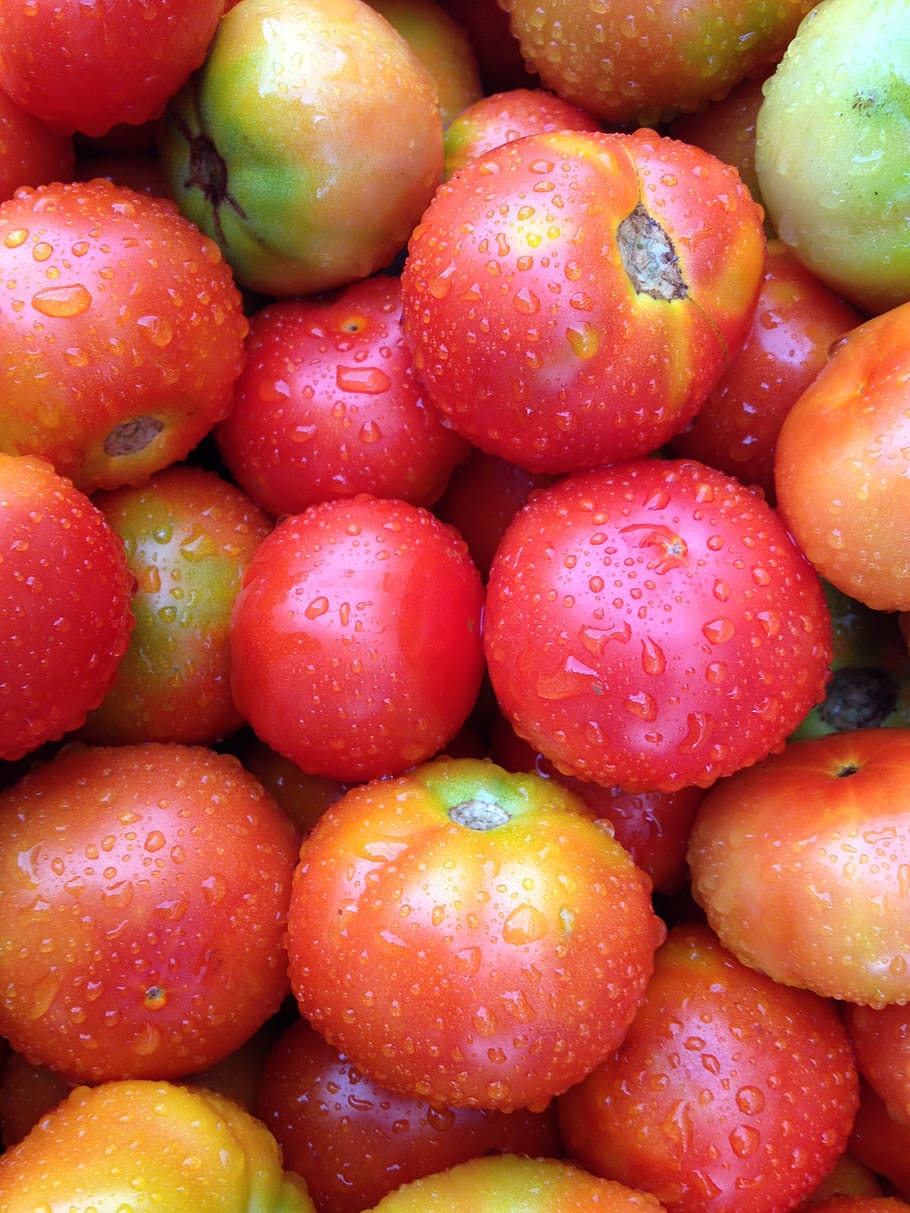 vegetable, tomato, fresh vegetables, food and drink, healthy eating HD wallpaper
