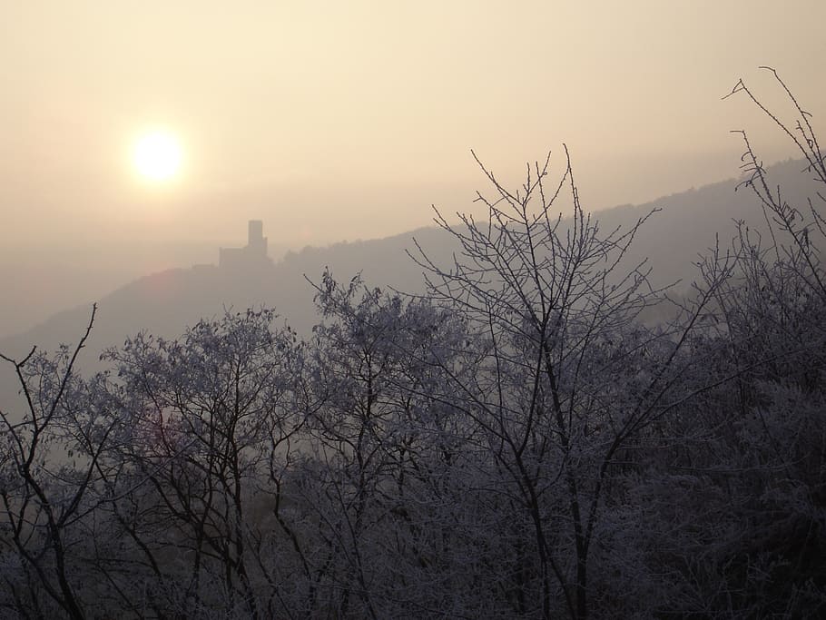 castle, alsace, vosges, sun, fog, diffuse, winter, nature, natural humor HD wallpaper