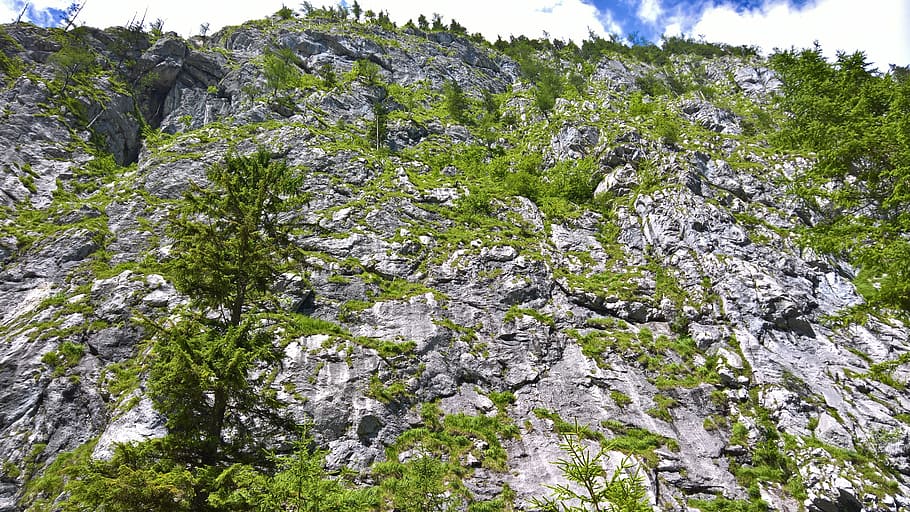 Rock, Wall, Alpine, Stone, Mountains, climber, steep, steinig HD wallpaper