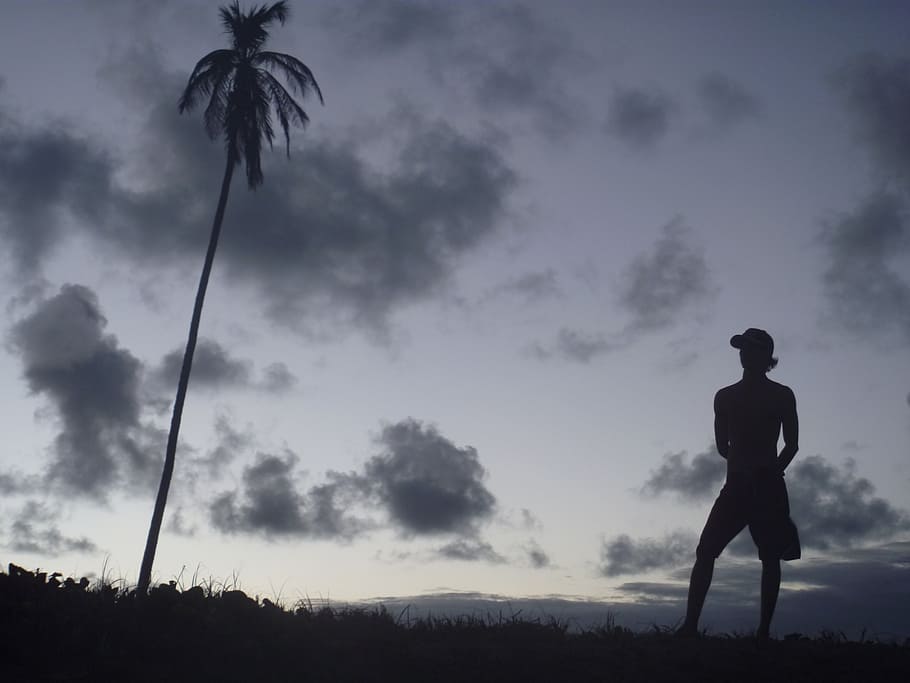 reflecting, sunset, alone, afternoon, palm tree, holidays, model HD wallpaper