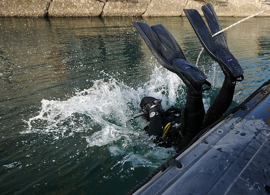 coast training team seals｜TikTok Search