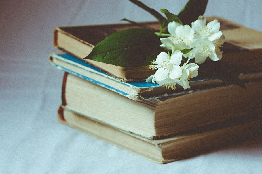 white flowers on books, selective focus photography of Stephanotis on brown hardbound book HD wallpaper