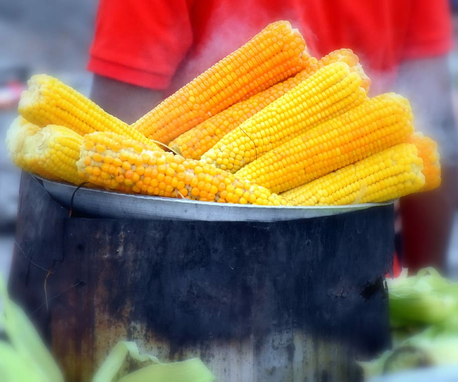 Corn, Traditional, Sweet, Vegetable, yellow, fresh, healthy HD wallpaper