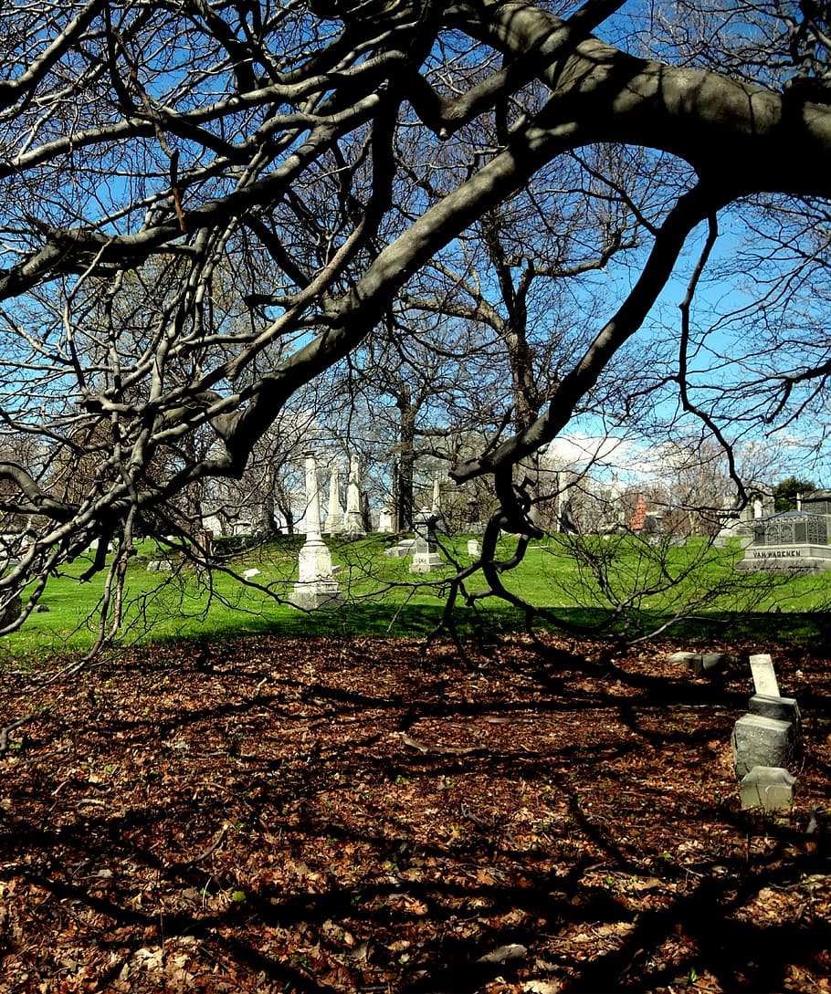 Cemetery, Graves, Graveyard, Tombstone, shadows, syracuse, oakwood HD wallpaper