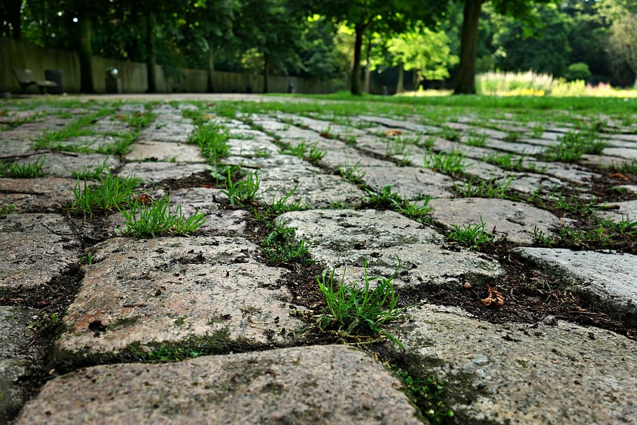 stone, cobblestone, street, walkway, pavement, surface, urban HD wallpaper