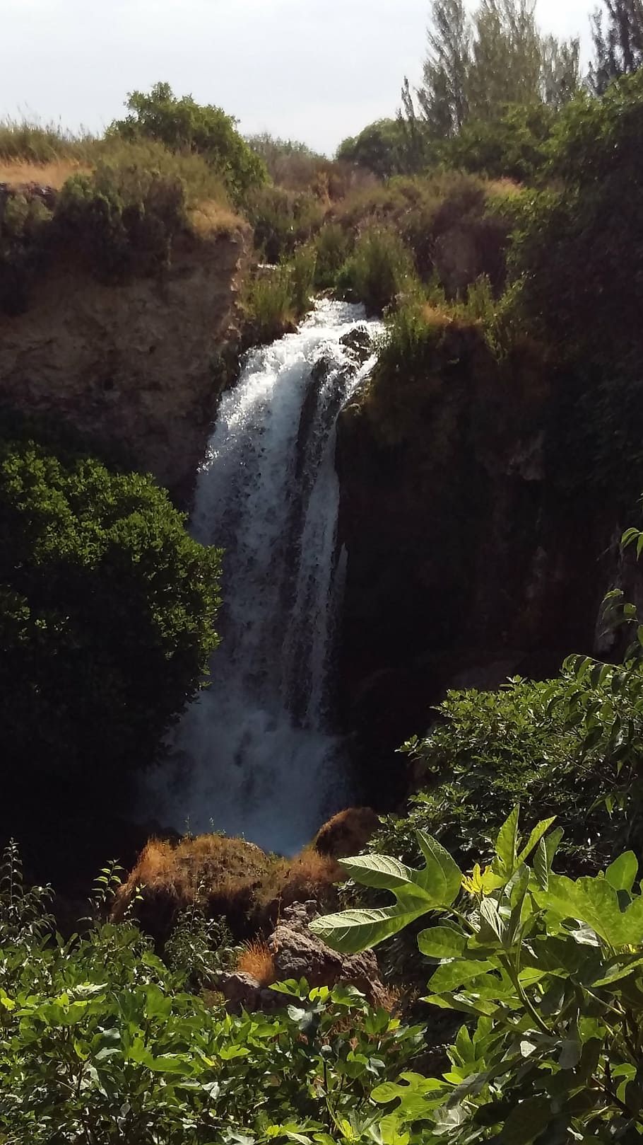 waterfall, nature, forest, river, stream, scenics, landscape HD wallpaper