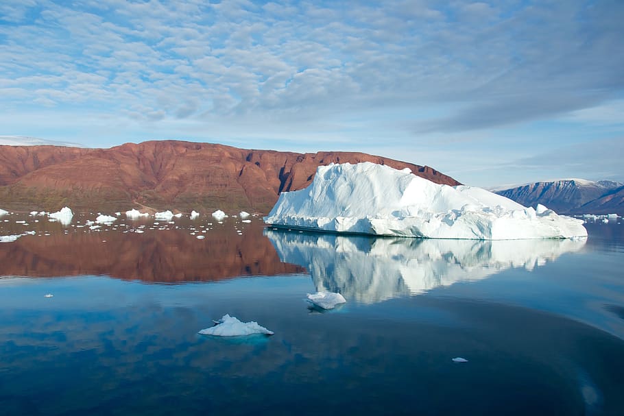 iceberg, swimming, water, ocean, nature, arctic, sea, blue, HD wallpaper
