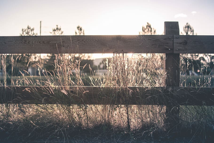 brown wooden fence, brown grass near fence, cloud, sun, sunset HD wallpaper