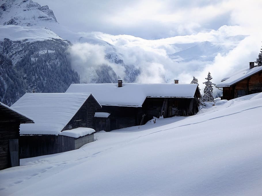 winter, snow, mountains, alpine, wintry, cold, white, snow landscape HD wallpaper