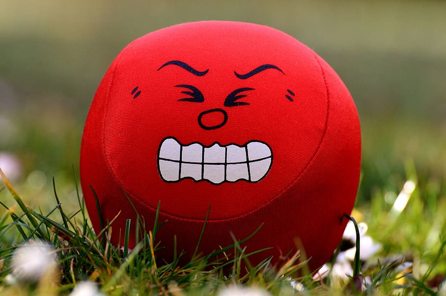 red and white angry printed plush toy on green grass photography, HD wallpaper