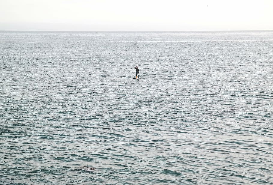 person standing on beach, surfboard, middle, body, water, gray HD wallpaper