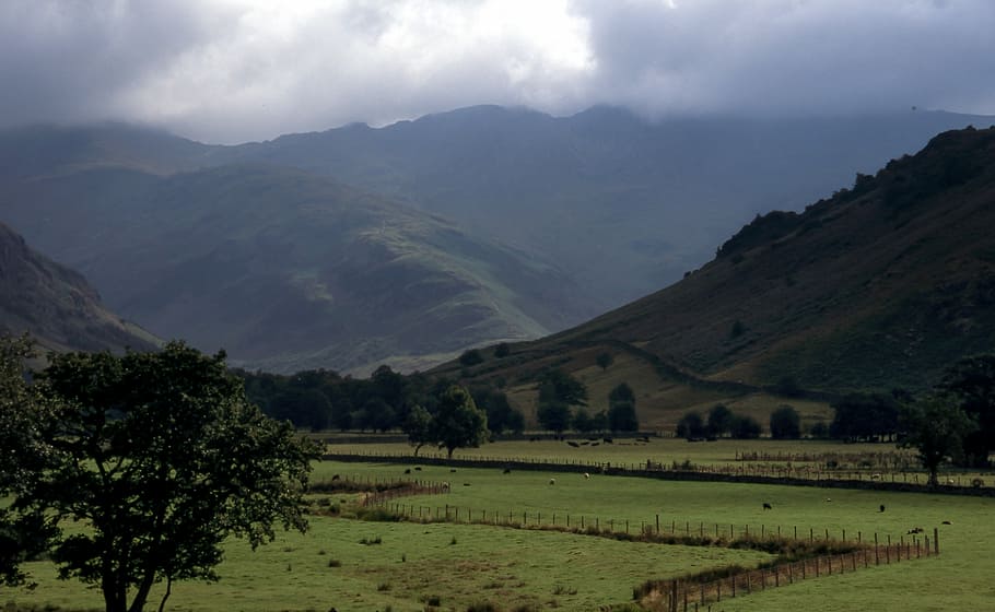 cloudy sky over mountains and grass field, mountain with trees and grass during daytime HD wallpaper