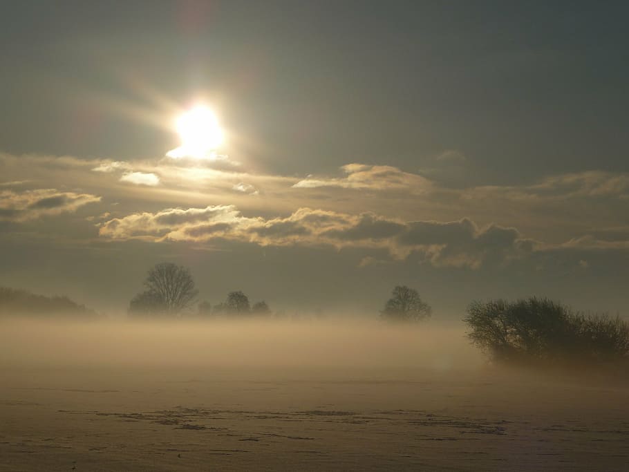 winter sun, snow, cold, fog, mood, wintry, tranquility, beauty in nature HD wallpaper