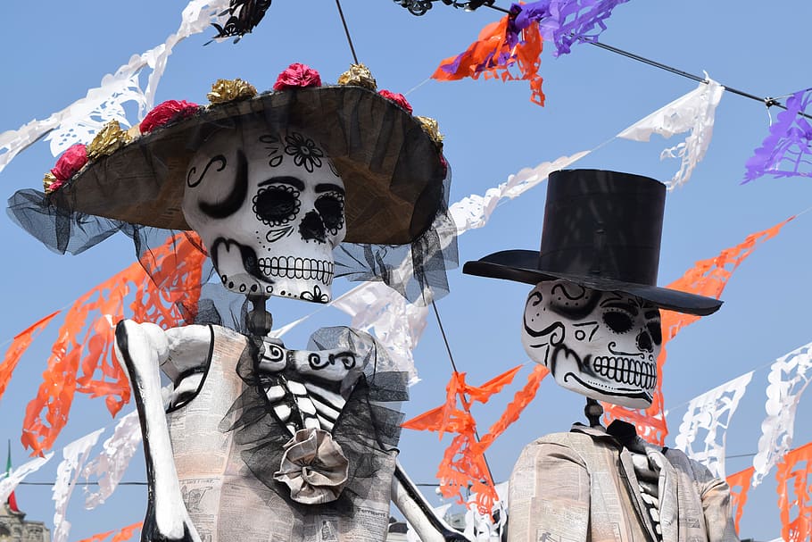 skeleton, catrina, human skeleton, celebration, day, human representation HD wallpaper
