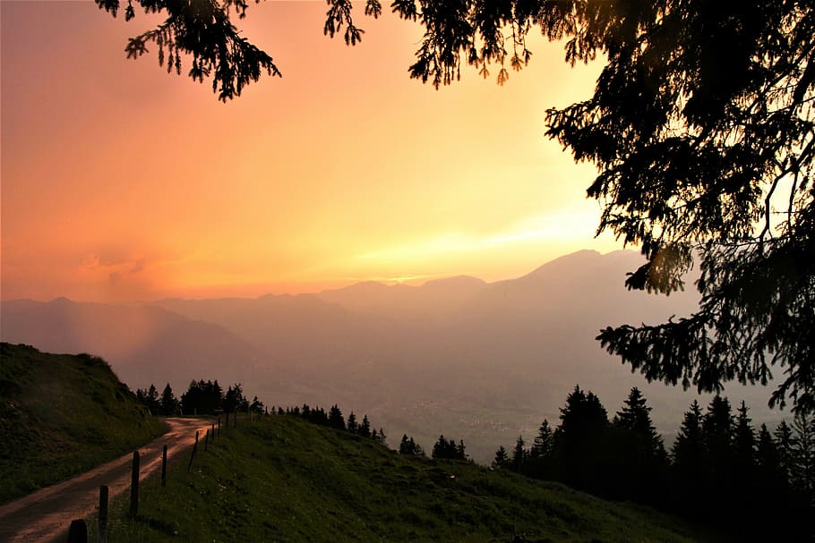 sky, tree, scenics - nature, beauty in nature, plant, tranquil scene HD wallpaper
