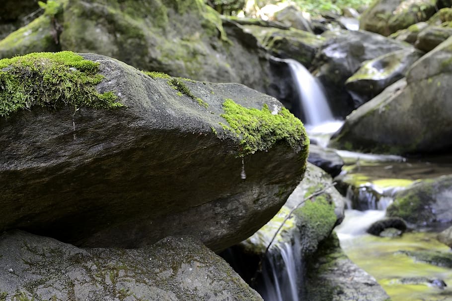 bach, nature, austria, styria, teigitsch, landscape, creek HD wallpaper