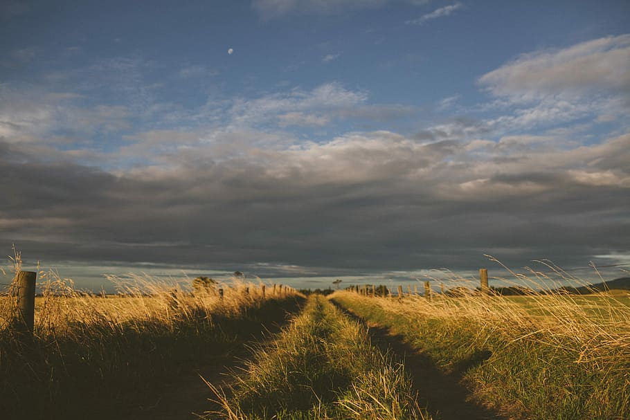 brown farm field with cloudy sky, untitled, path, country, country road HD wallpaper