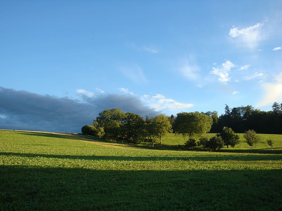 Landscape, Mood, Shadow, Scenic, Clouds, atmosphere, trees HD wallpaper